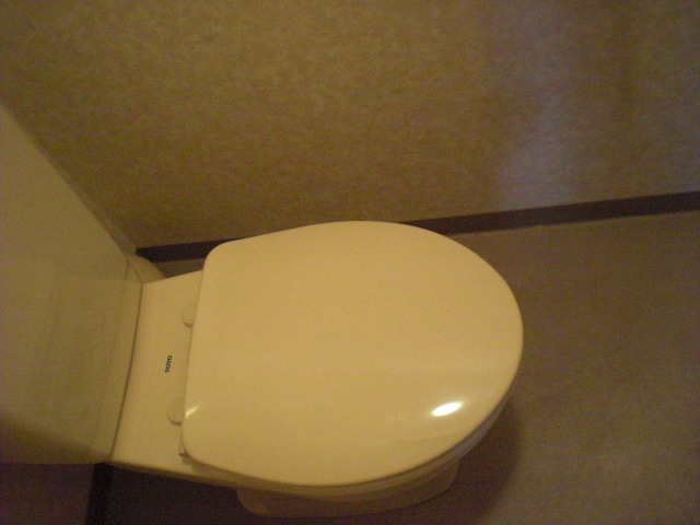 Toilet. toilet ☆ 