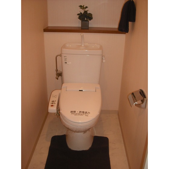 Toilet