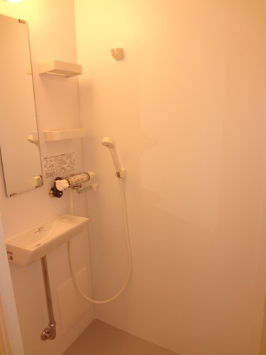 Other room space. Shower room