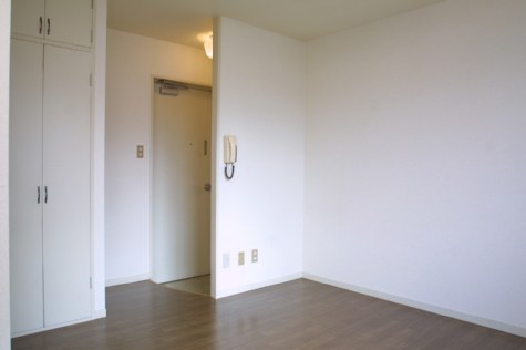 Living and room. ~ Sapporo's largest listing amount ~ Looking for room to big center shops! 