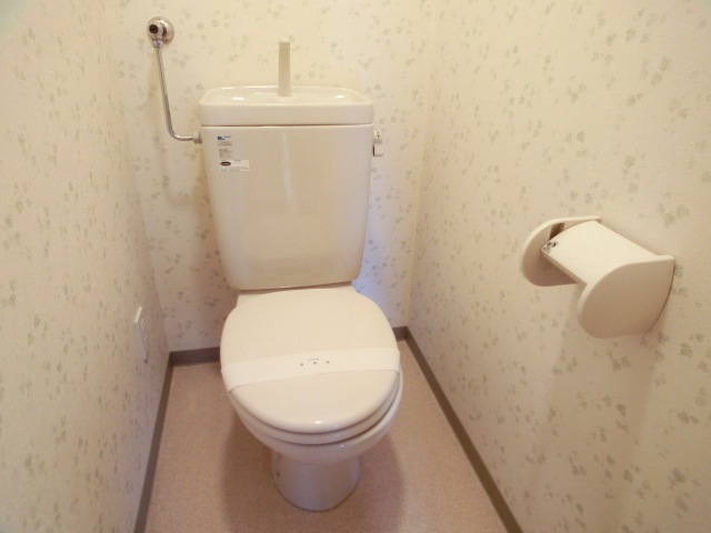 Toilet. Toilet with cleanliness