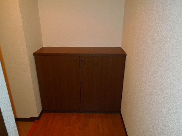 Entrance. Cupboard