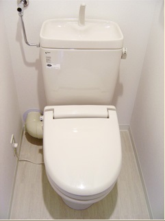 Toilet. Toilet