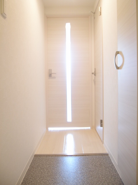 Entrance. It is a bright entrance where light is spilled shines. Storage is also abundant