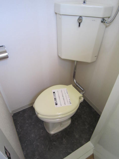 Toilet. The toilet is in the entrance, It has been properly cleaned. 