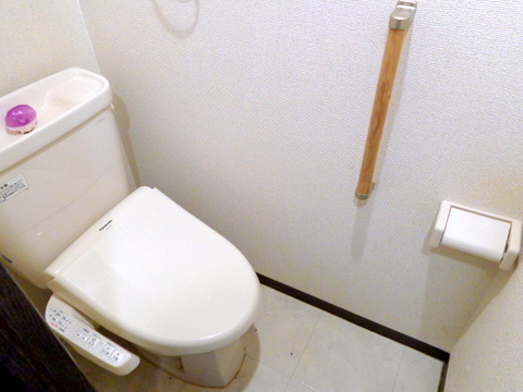 Toilet. Washlet toilet