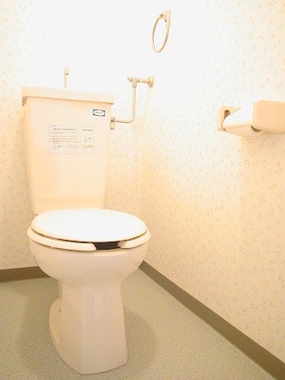 Toilet. Toilet is also scolded been re-cleaning