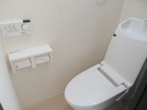 Toilet. Washlet toilet