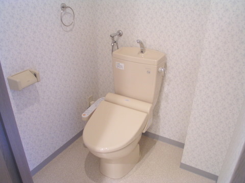 Toilet. Washlet toilet