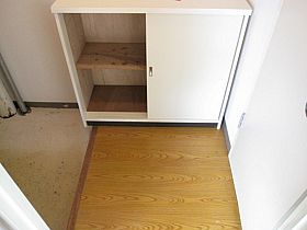 Entrance. Easy-to-use front door with a shoe box