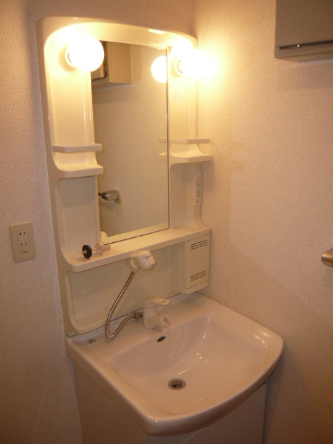 Washroom. Shampoo dresser