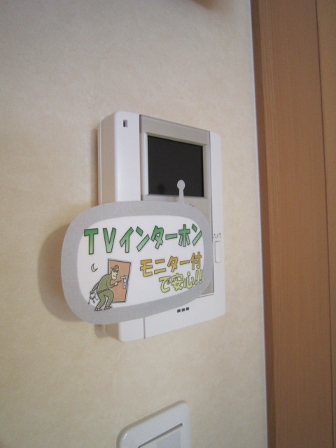 Security. In TV intercom, Pat crime prevention surface! 