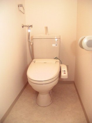 Toilet. Toilet