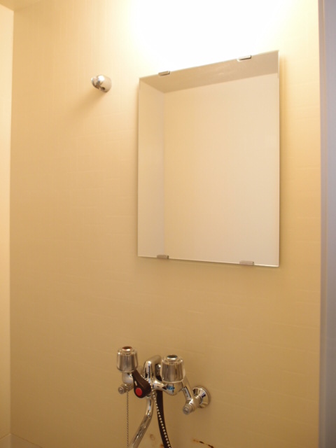 Washroom. Mirror with Bathrooms