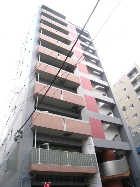 Building appearance. 10-storey apartment