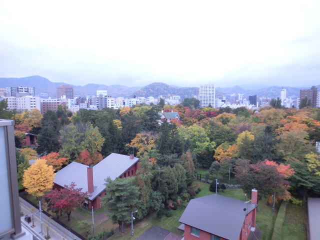 View. (10F views of) you can enjoy the transitory of four seasons while are in the city center. 