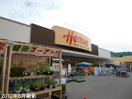 Home center. Homac Corporation Asahigaoka store up (home improvement) 786m