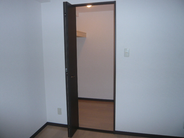 Other room space. High storage capacity walk-in closet