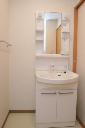 Washroom. Shampoo dresser