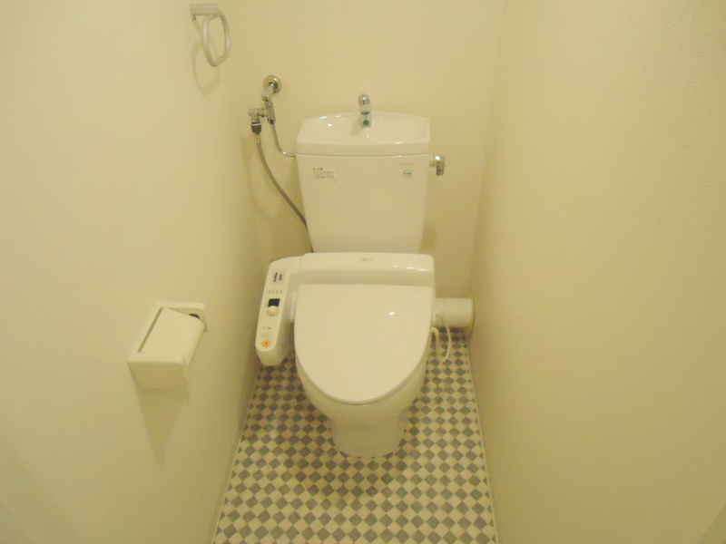 Toilet. Washlet toilet