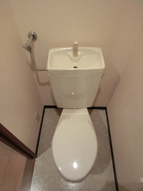 Toilet