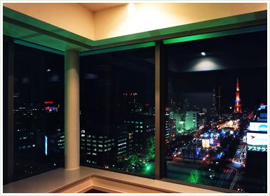 Other room space. View from here is amazing Tsu! TV tower overlooking view ☆