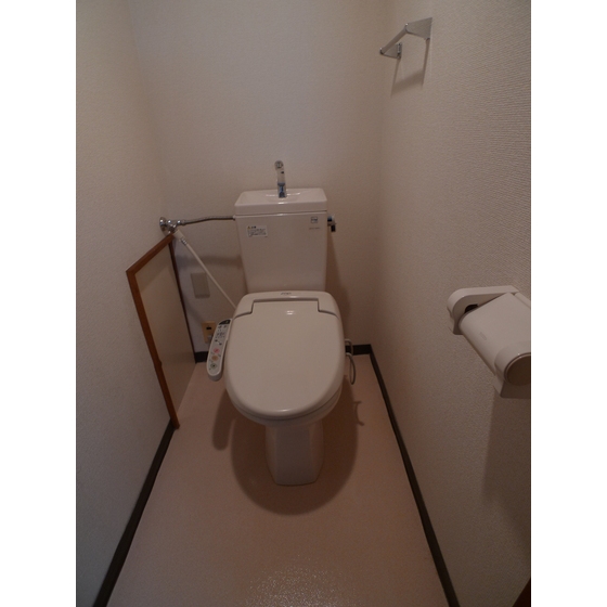 Other. Toilet