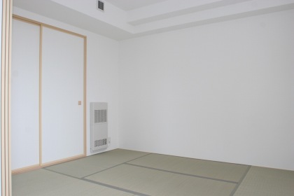 Other room space. Japanese style room