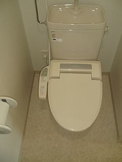 Toilet. Bidet with function