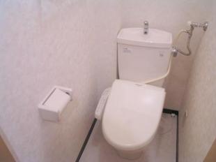 Toilet. Bidet