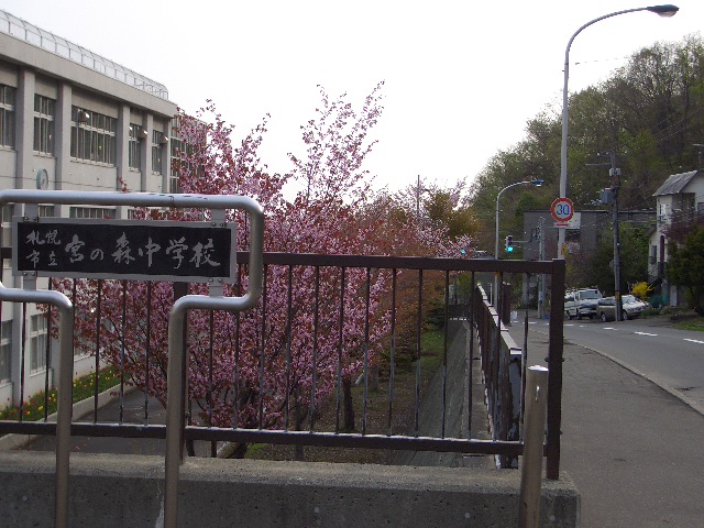 Junior high school. 1200m to Sapporo Municipal Miyanomori junior high school (junior high school)