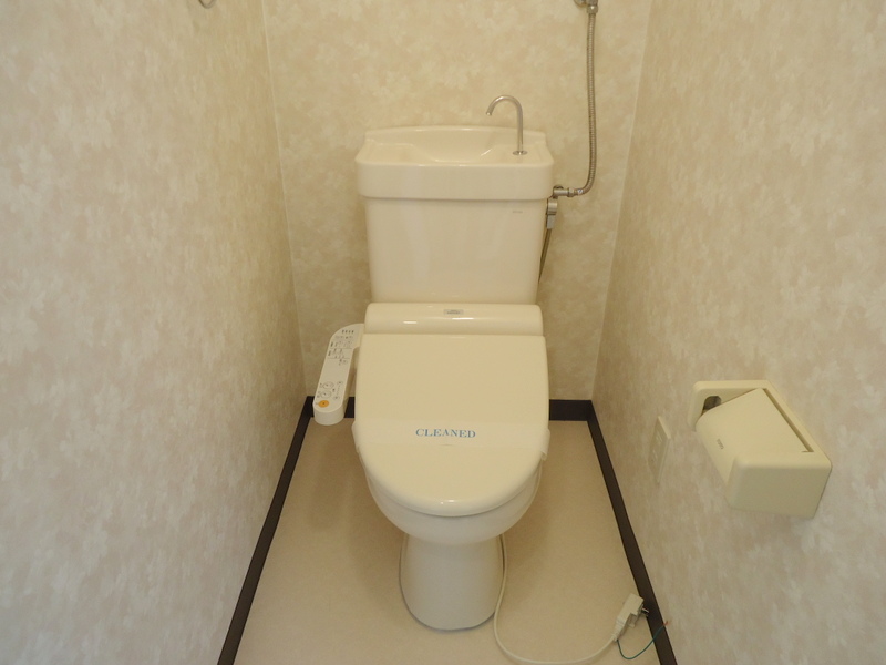 Toilet. Washlet toilet