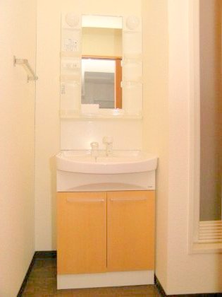 Washroom. Shampoo dresser