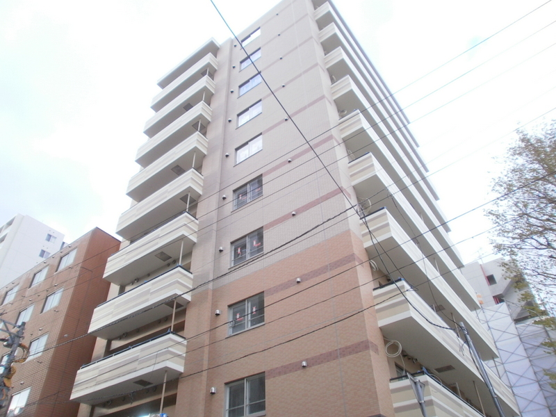 Building appearance. Reinforced concrete 10-storey