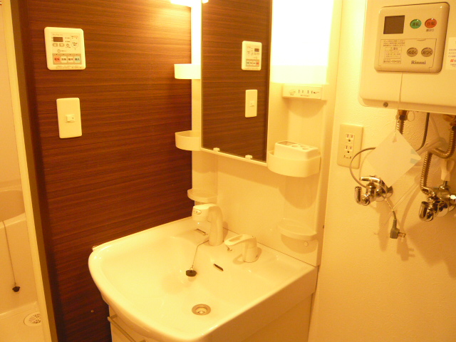 Washroom. It is there when convenient shampoo dresser. 