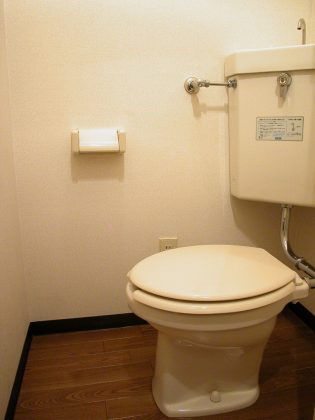 Toilet