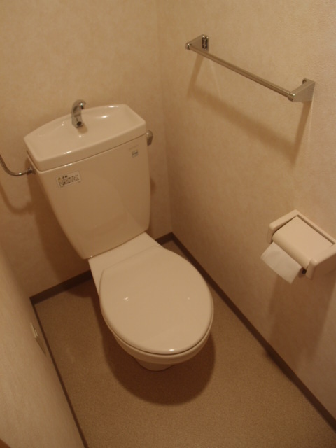 Toilet. Spacious toilet! I make yourself understood the for the firm in a private room! ! ! 