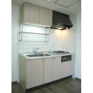 Kitchen. System kitchen