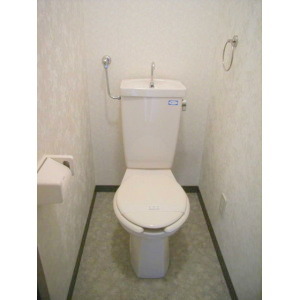 Toilet. It is with bidet