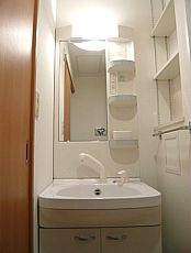 Washroom. Shampoo dresser