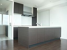 Kitchen. Island system Kitchen