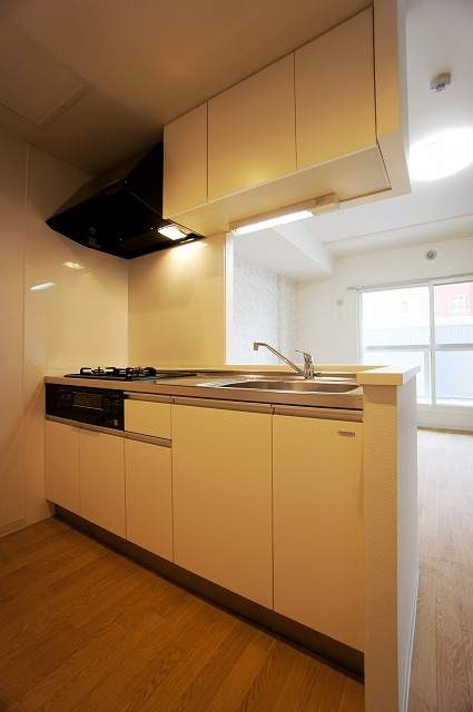 Kitchen.  ☆ Face-to-face system Kitchen ☆ 