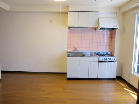 Living and room. Kitchen