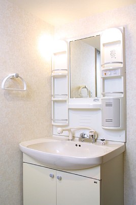 Washroom. Shampoo dresser