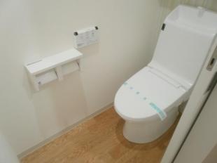 Toilet. Washlet toilet