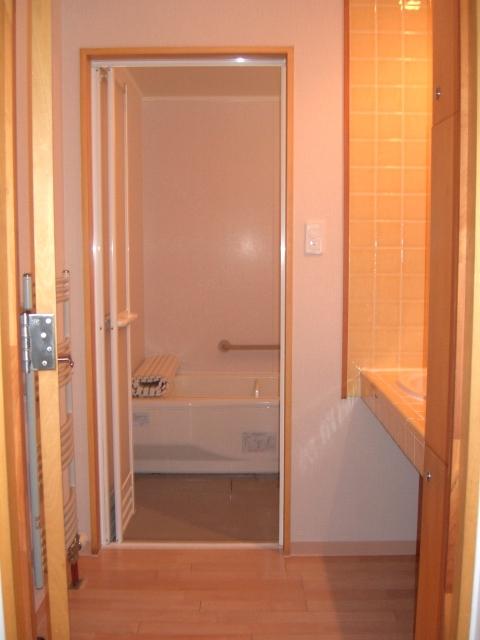 Wash basin, toilet. Indoor site (December 2013) Shooting