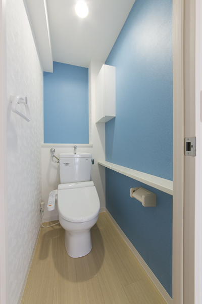 Toilet. The stylish space with a counter