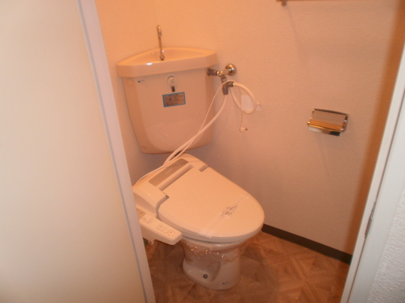 Toilet. Shower WC