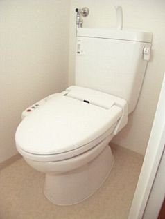 Toilet. With Washlet