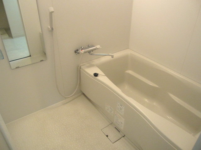 Bath. Spacious large bathroom